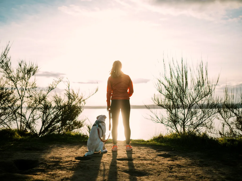 Dog and person standing together on a waterfront trail in Washington.