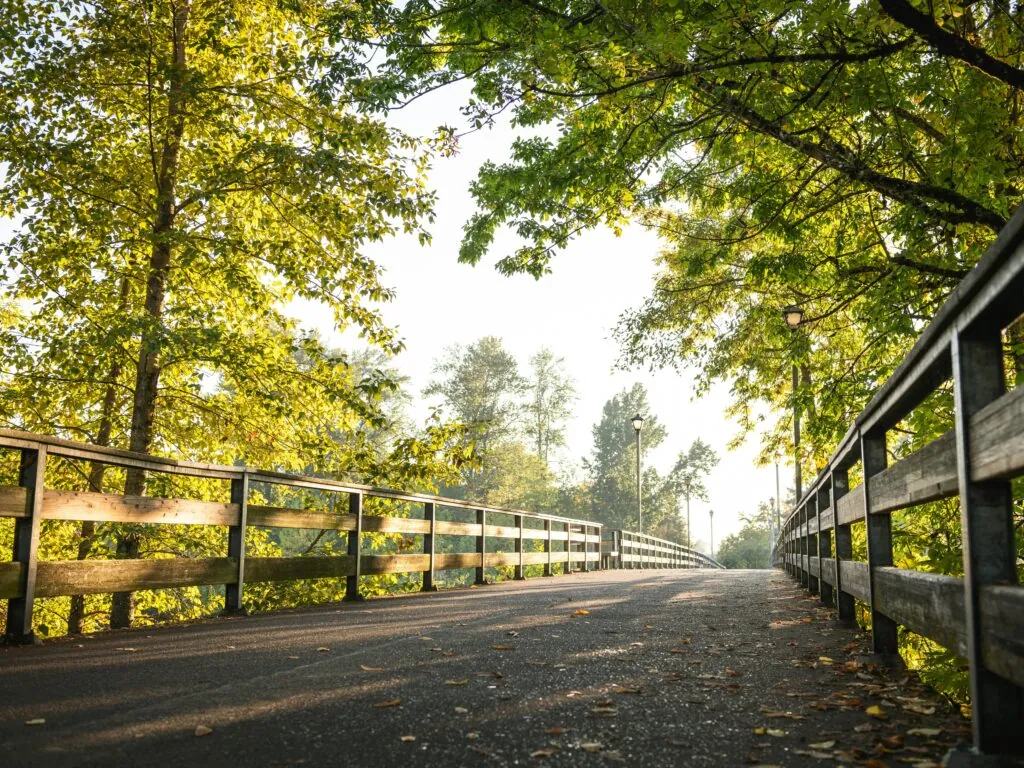 Tree-lined paved trail in the Seattle area