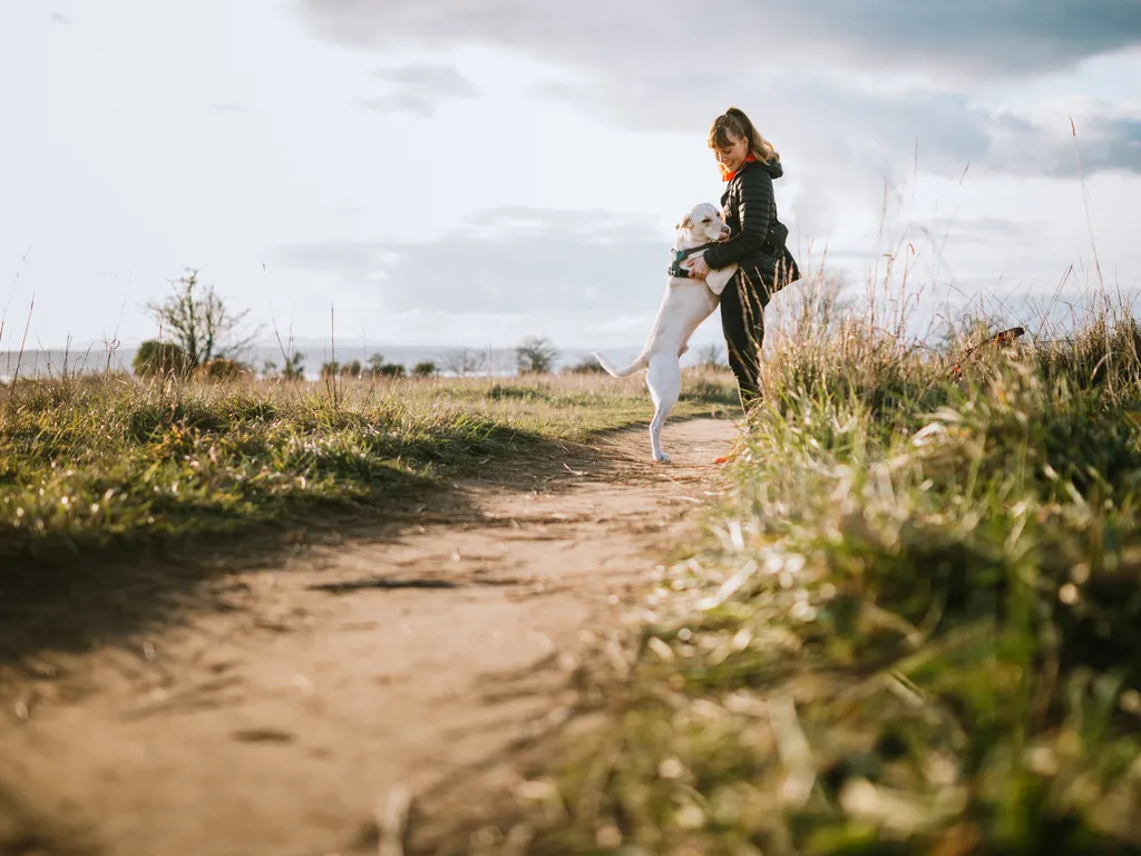 Dog jumping up to greet a person on a Washington trail.