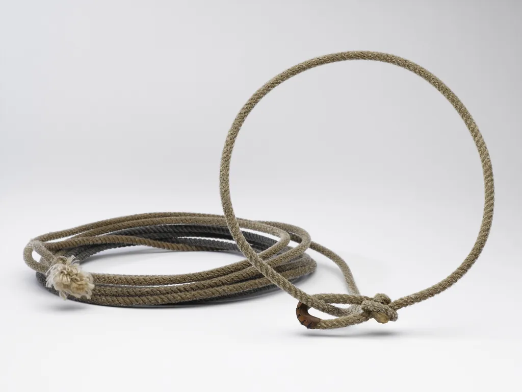 Coiled dog leash photographed on a light background.